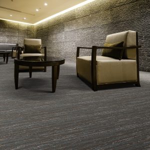 Complex-IV-public-space-hotel-carpet